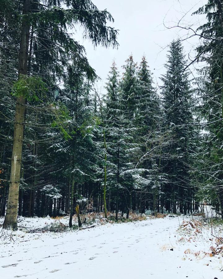 Beskid Wood Houses Jasnowice 外观 照片